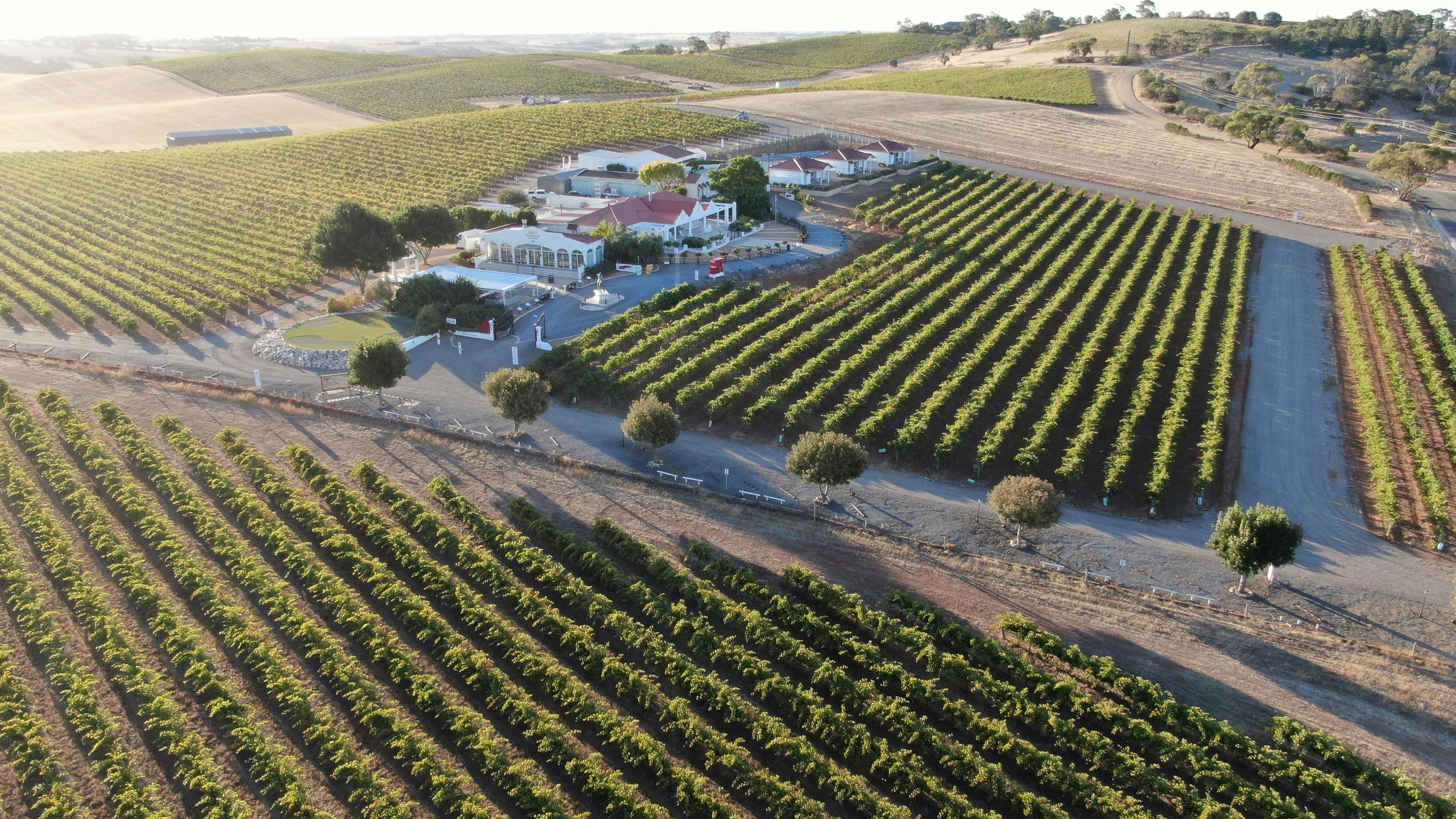 1837 Barossa Estate