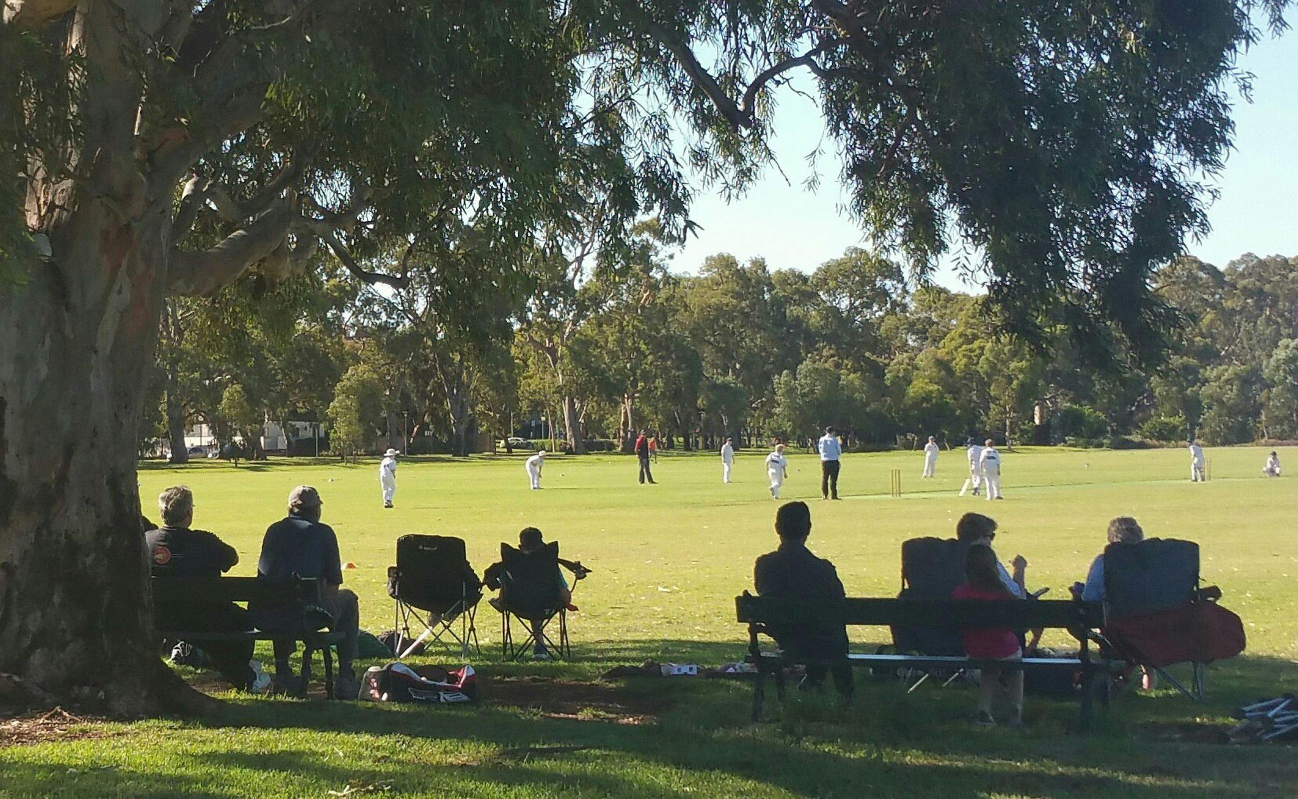Guided Walk through the southern half of Victoria Park / Pakapakanthi (Park 16)
