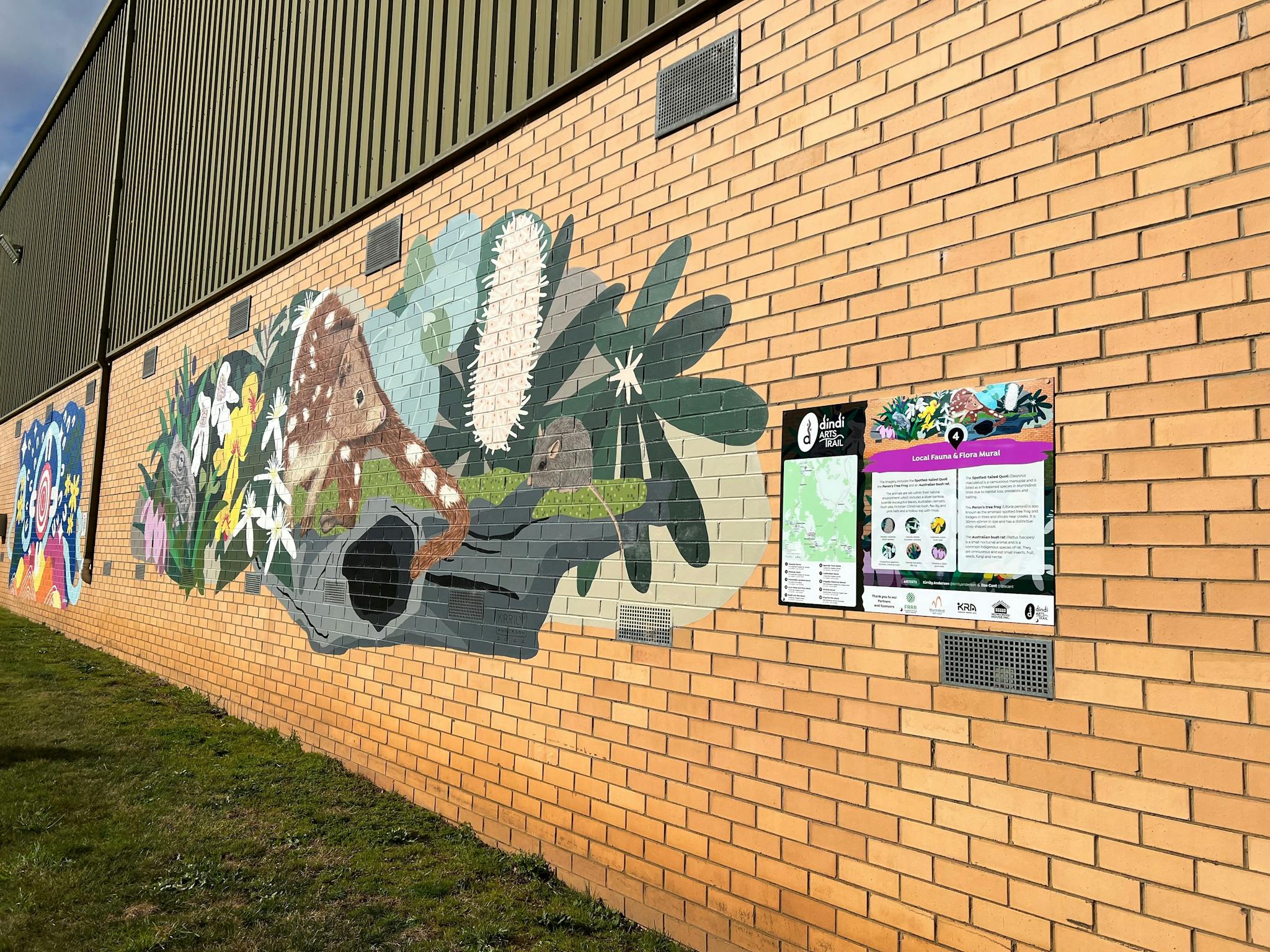 Local fauna and flora mural (right) and Ngarrak yilam mural (left), Kinglake Central