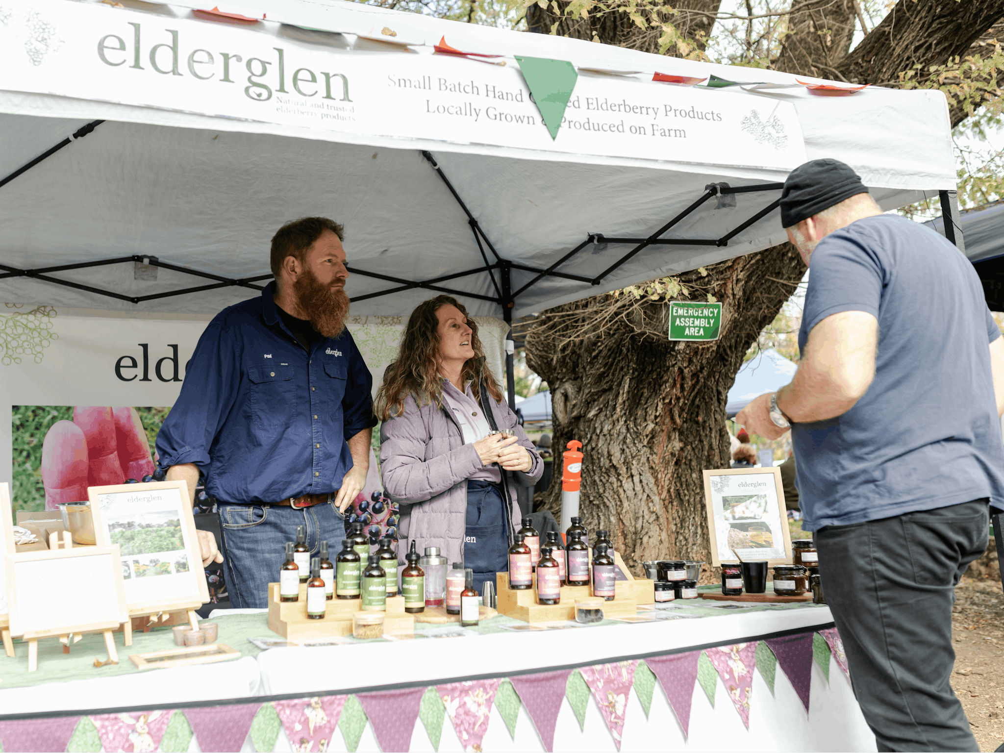 elderberry products