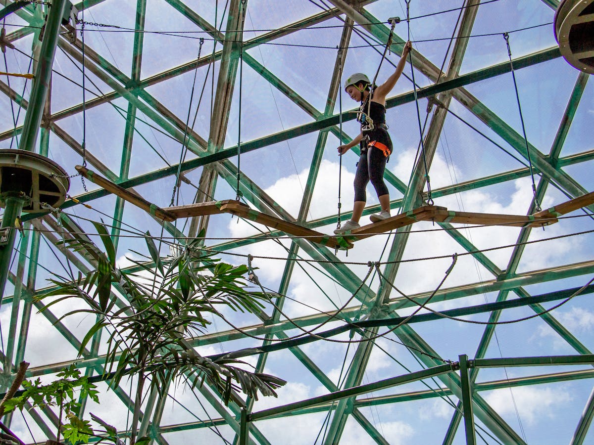 Hi-ZOOM high ropes course cairns zoom and wildlife dome