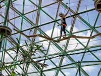 Hi-ZOOM high ropes course cairns zoom and wildlife dome