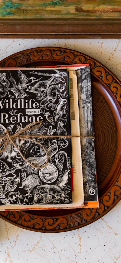 A Wildlife Sanctuary