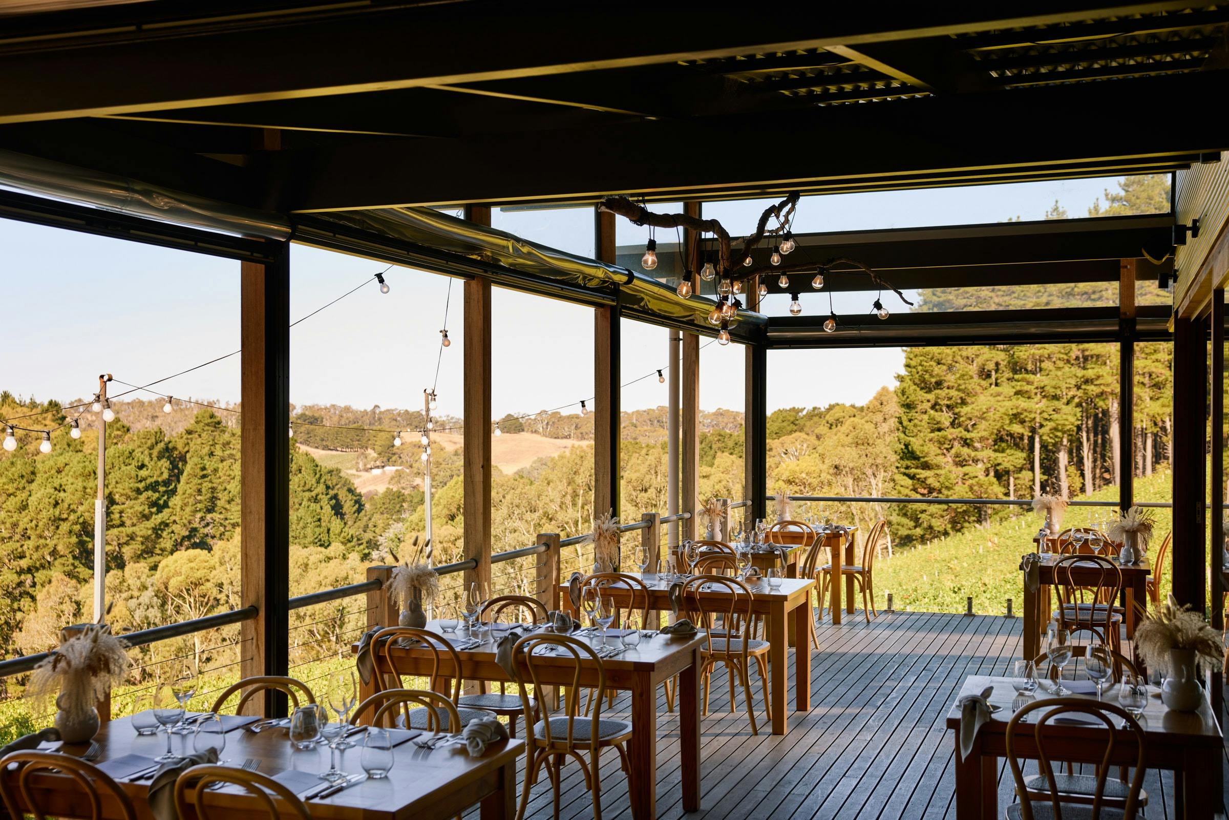 Mt Lofty Ranges Vineyard