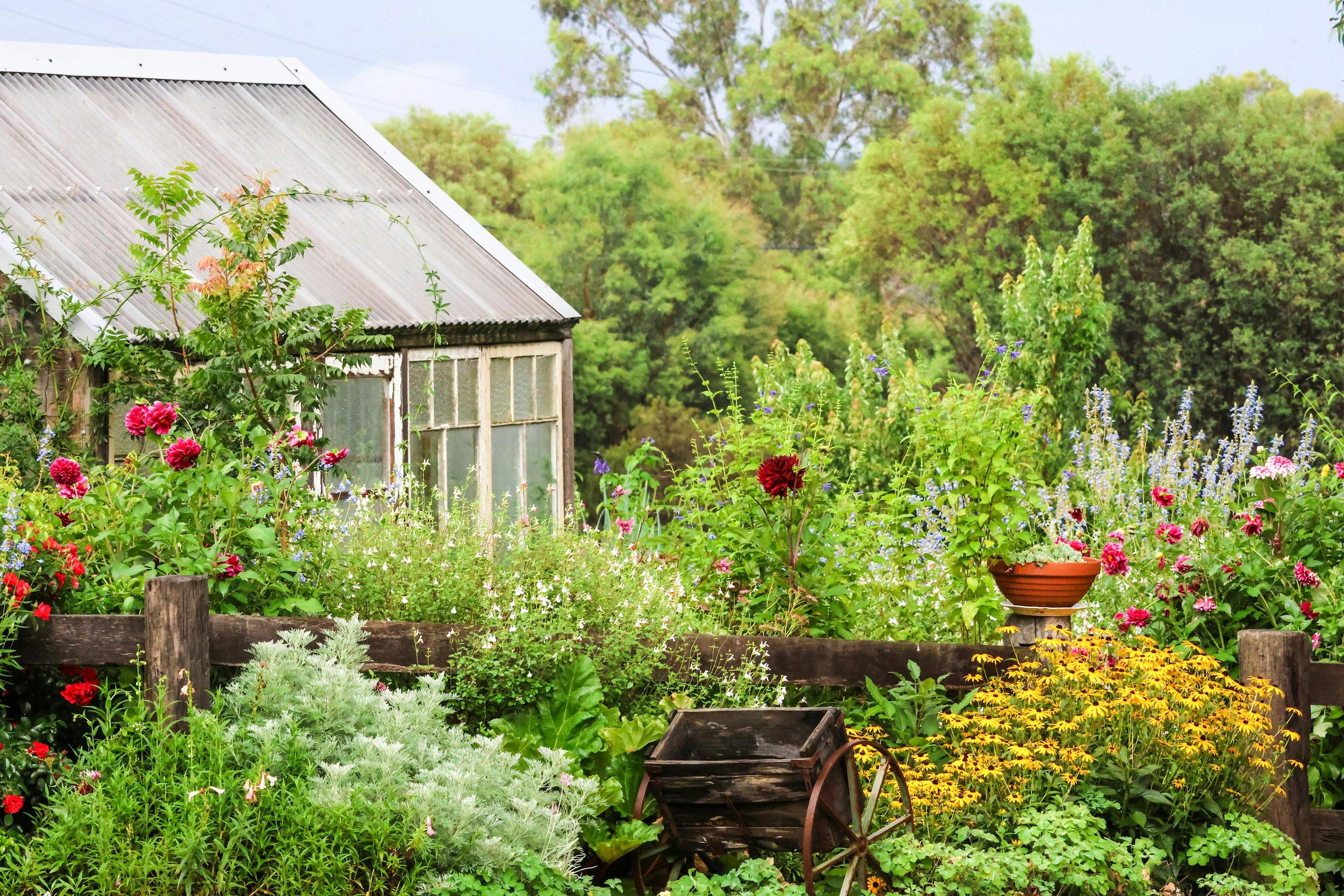 Hothouse at the top of the driveway
