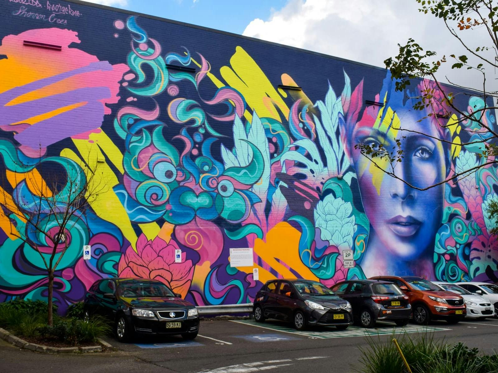 Discover Newtown's best street art and hear the stories behind the artwork