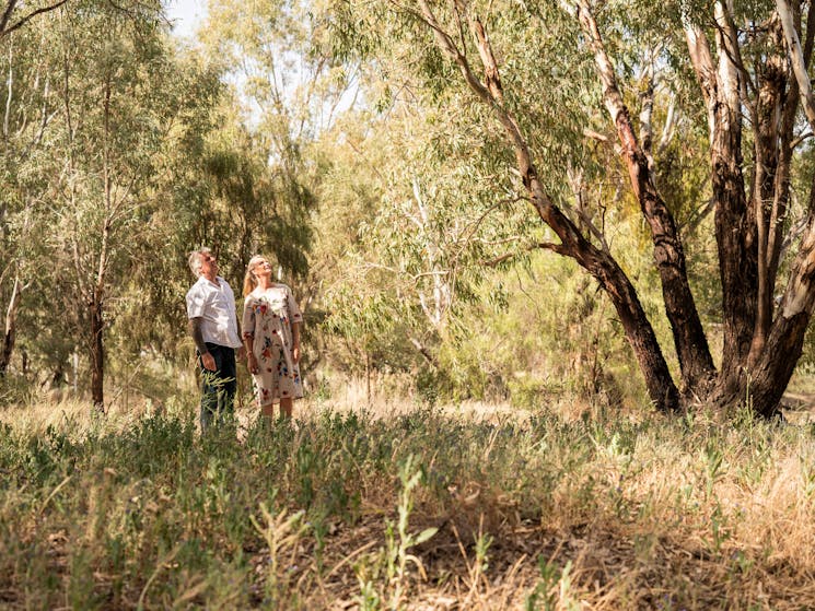 Couple looking for birds at the Narrandera Wetlands