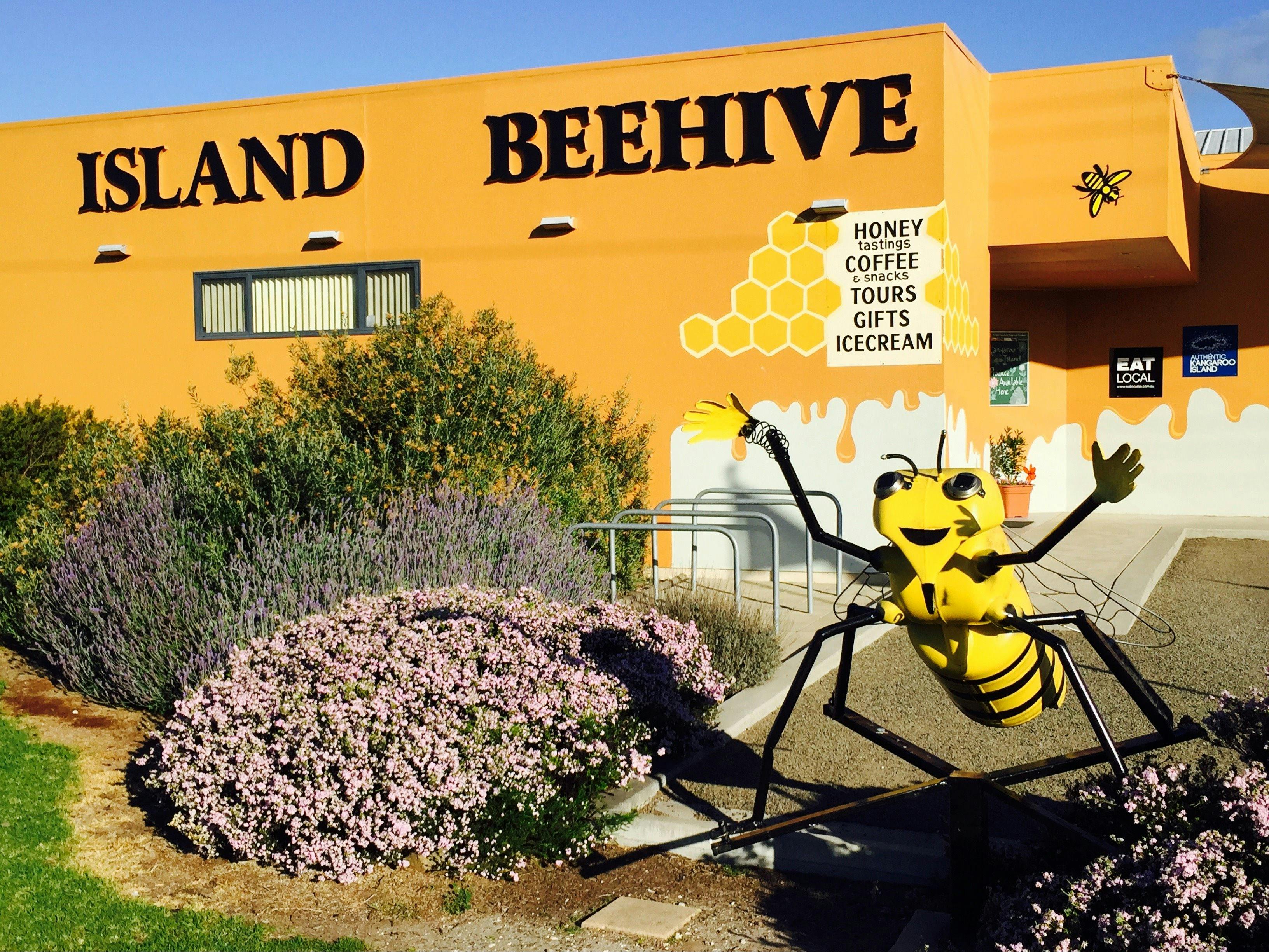 Beyonce the bee guarding Island Beehive
