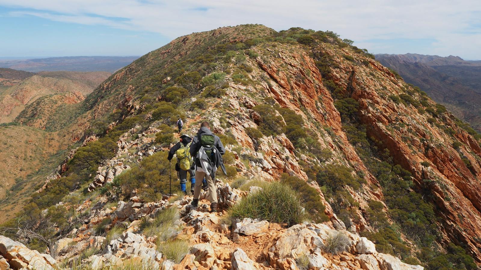 Walking along the Larapinta Trail