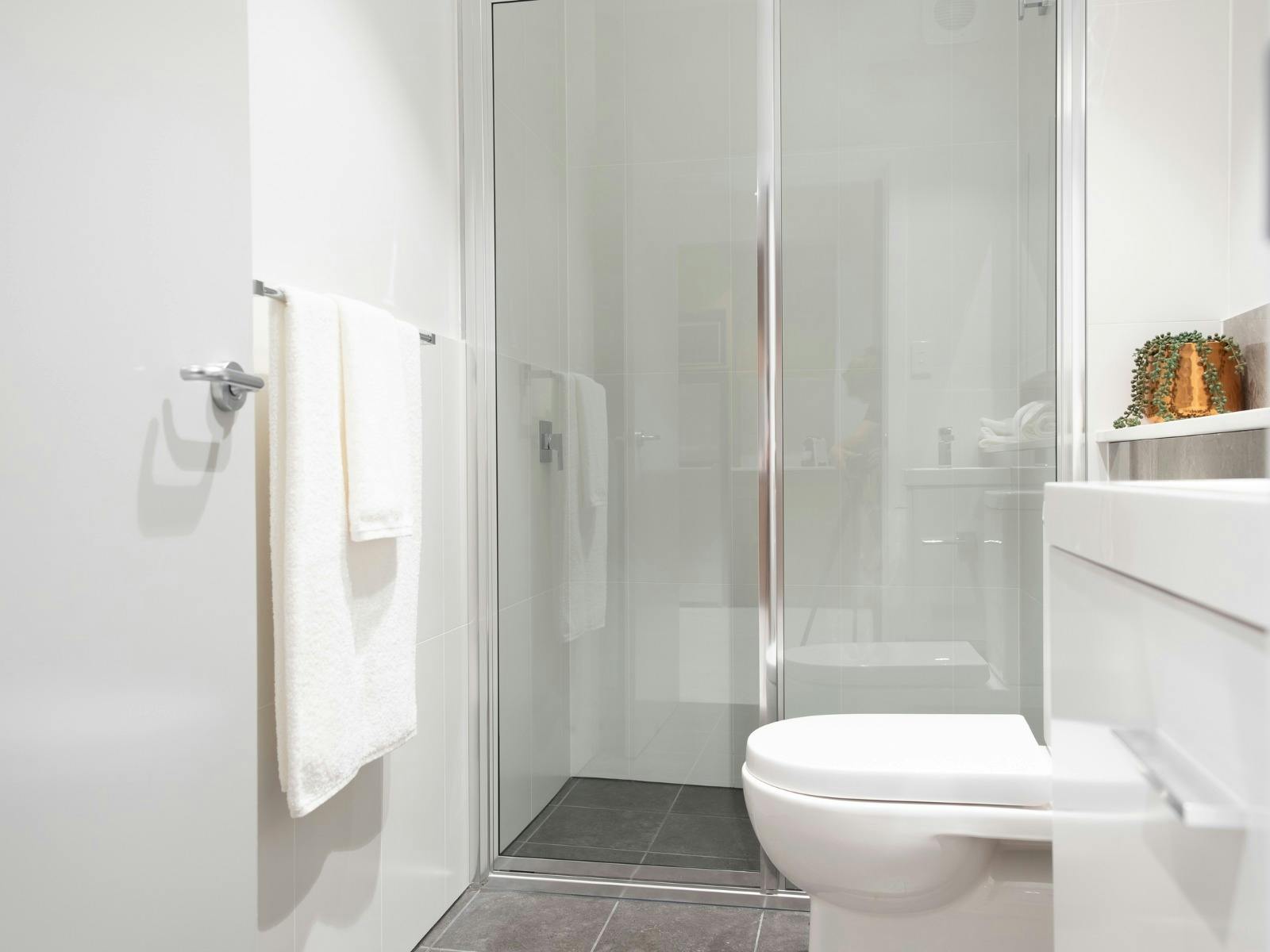 Walk-In-Shower-Toilet-Cabinet