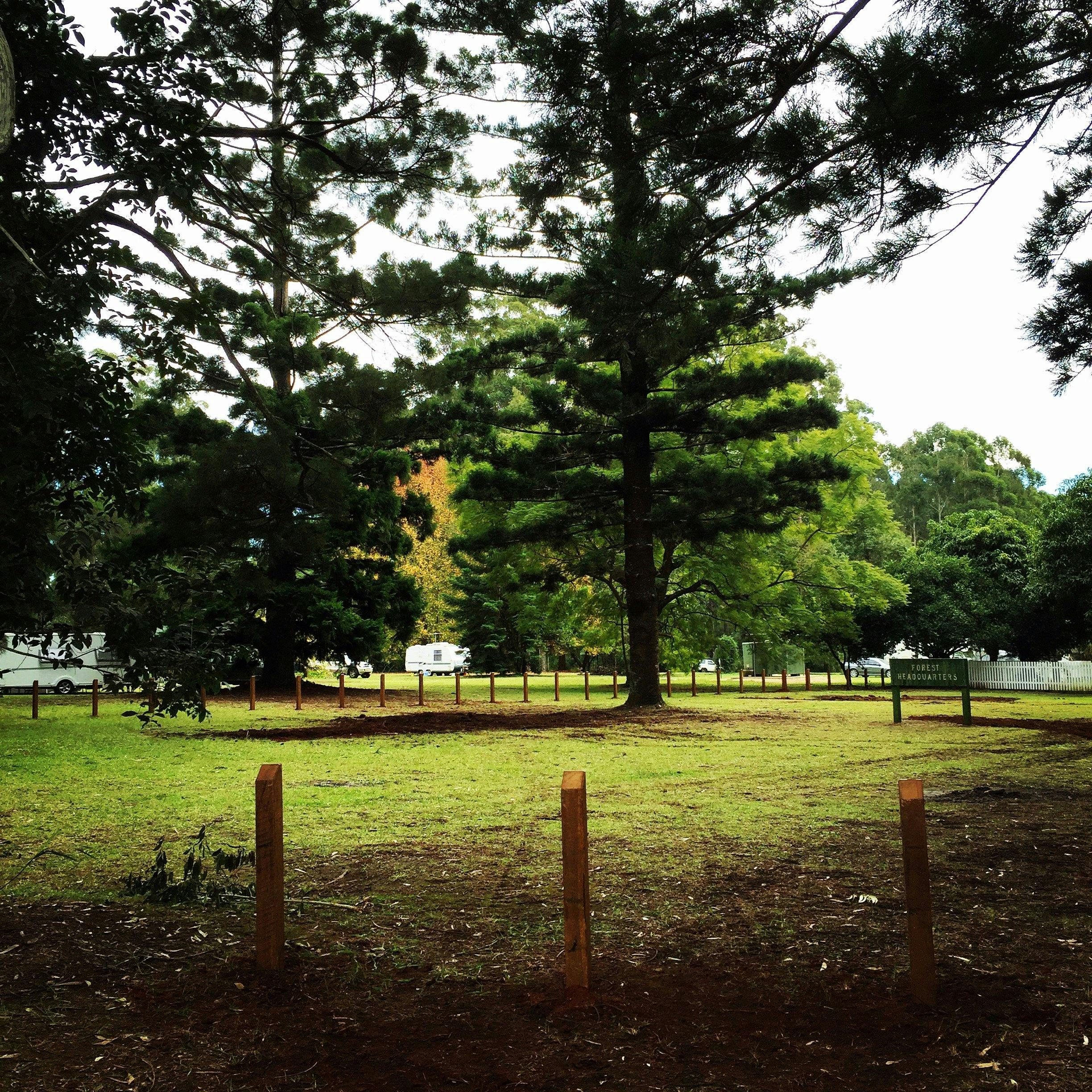 Coopernook State Forest