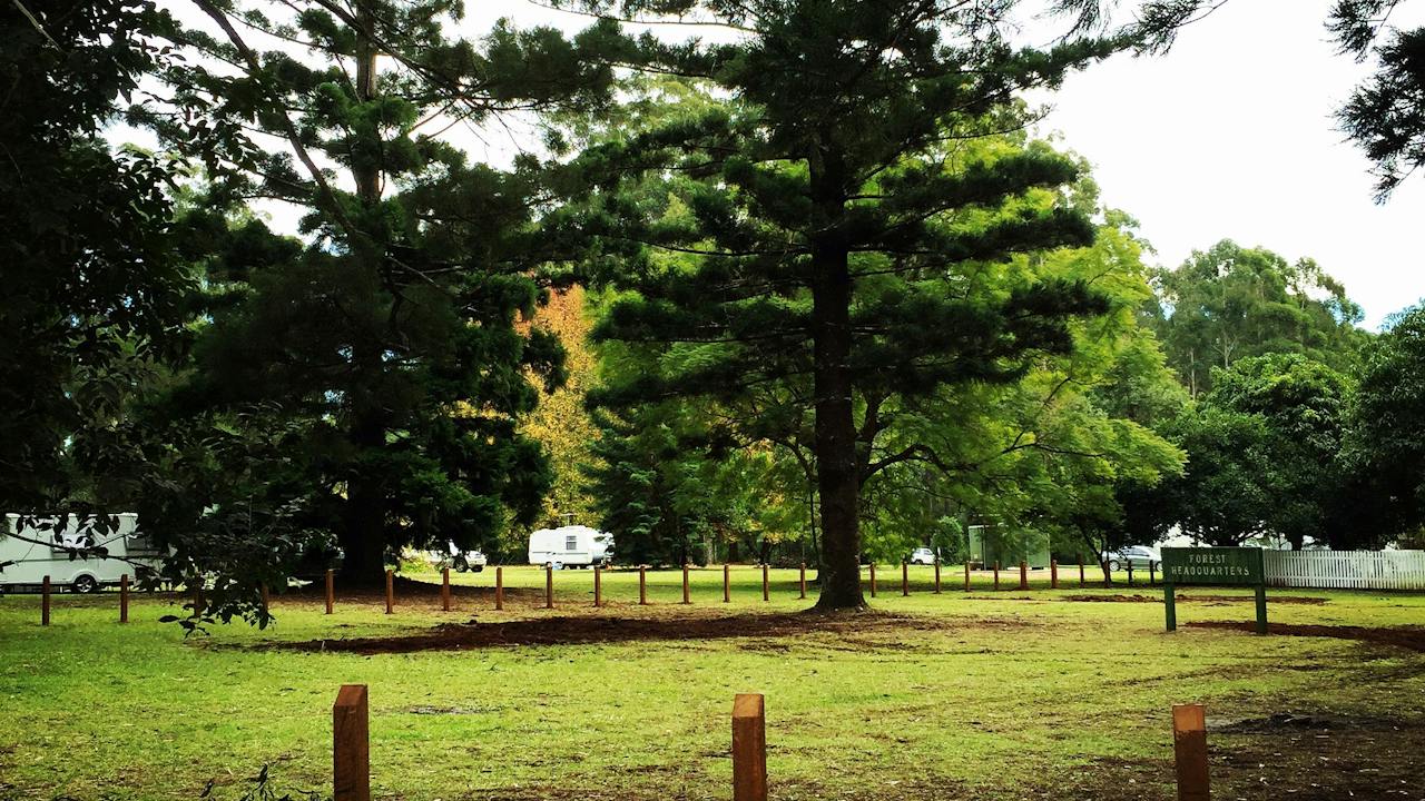 Coopernook Forest Rest Area