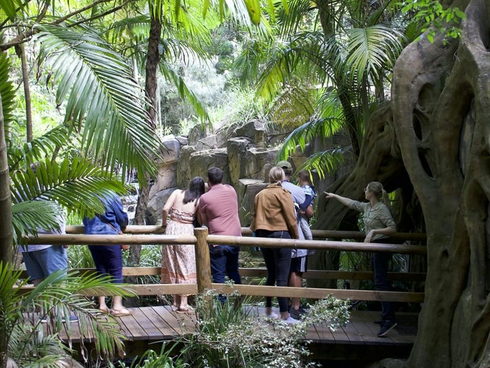 Glow Worm Tour Gold Coast Glow Worm Tour Gold Coast
