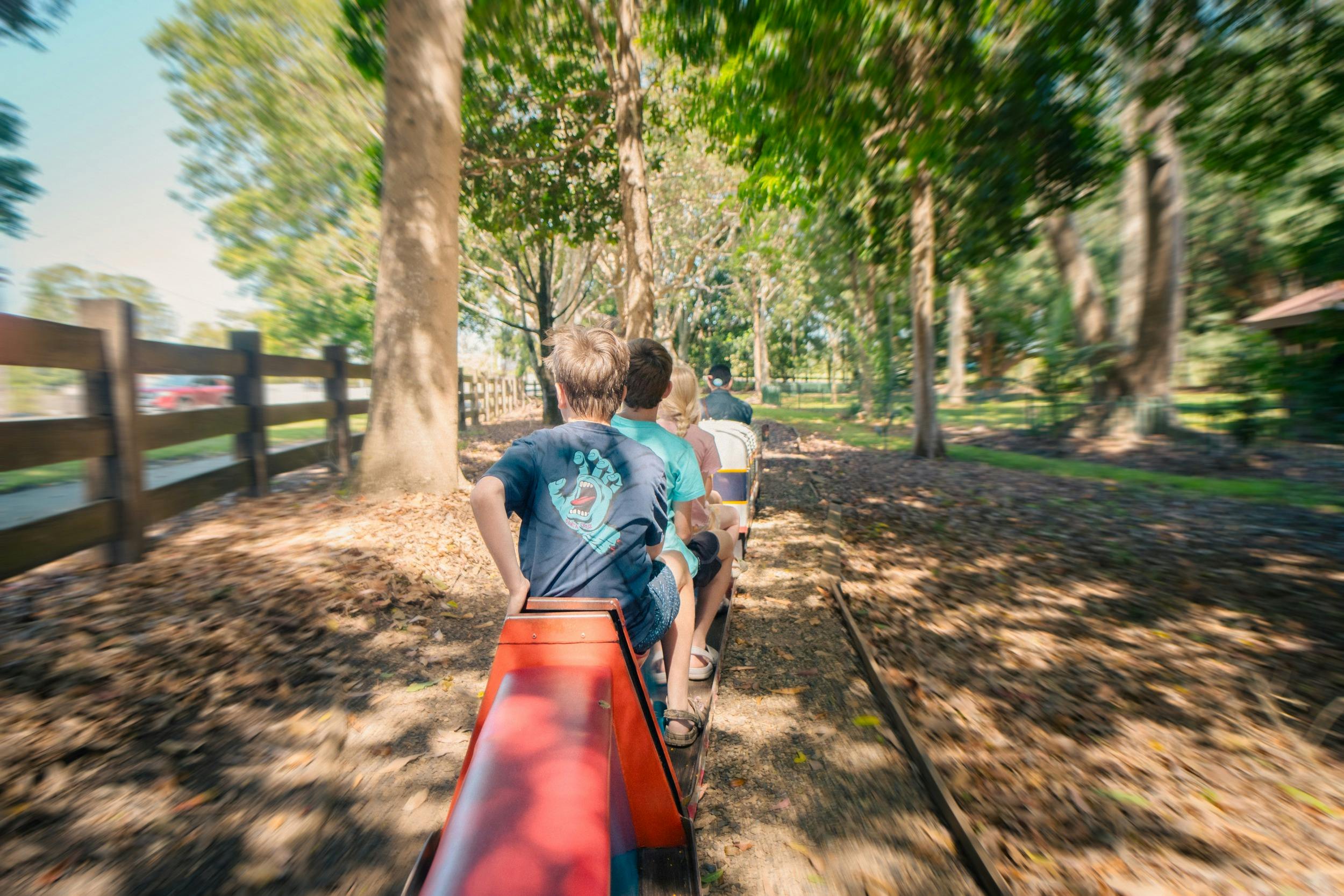 Children enjoying nature while on the miniature train