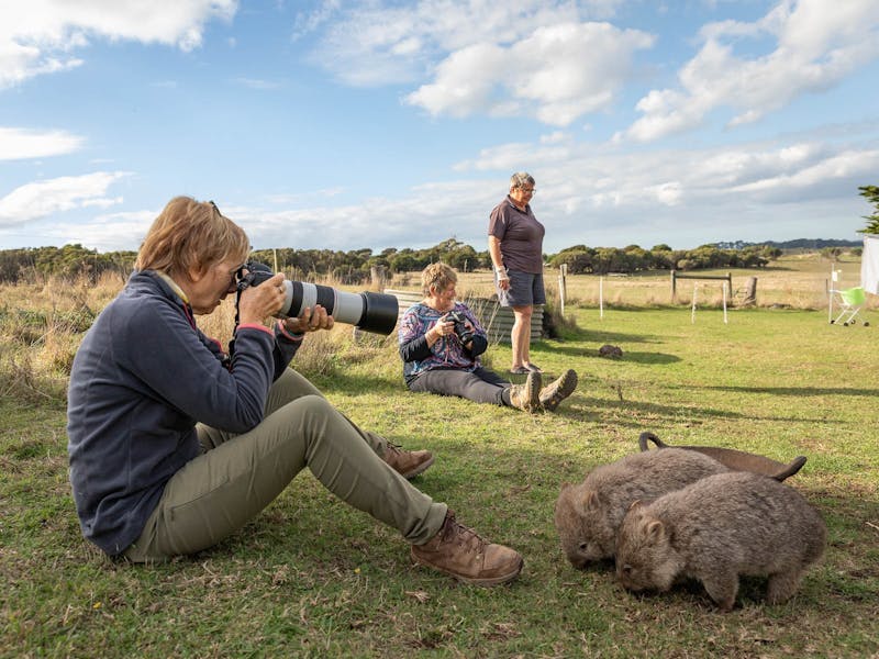 WOPE Flinders Island on April 2022