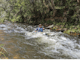 Goulburn River Kayak Adventure