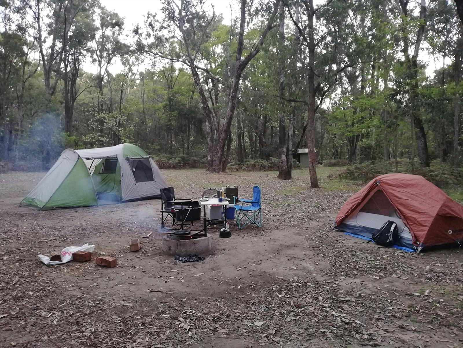 Two tents in a cleared area with a fire ring and camping chairs.