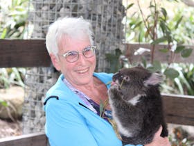During the tour, we can go to places where you can hold Koalas and do lots more