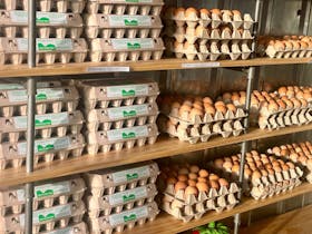 Fresh Eggs for Sale in the Majura Valley Farm Gate Shop