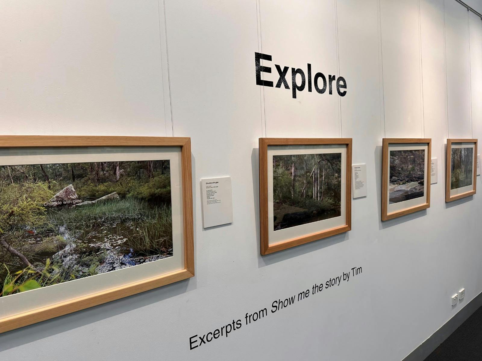 Four framed photographic prints of bushland hang on a wall.