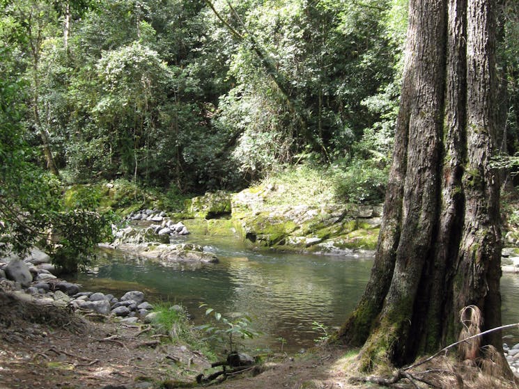 Wang Wauk State Forest