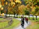 Bright autumn cycling in the Rail Trail