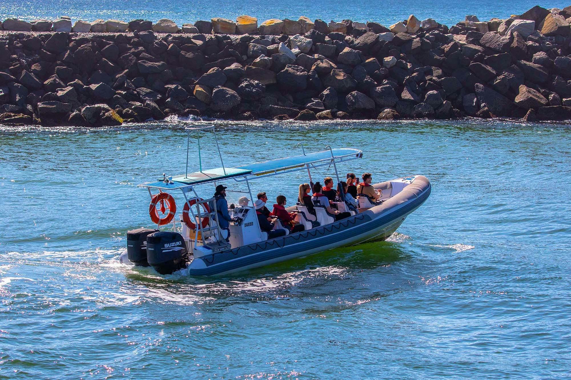 Whale Watching vessel with guests