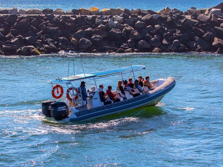 Whale Watching vessel with guests