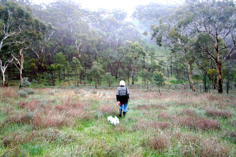 Mollys Chase