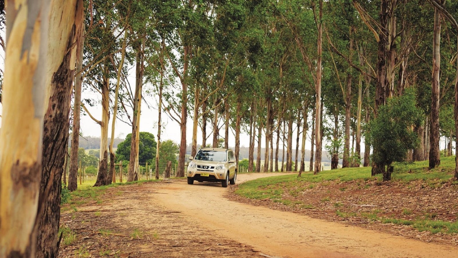 Kingaroy Lions Park