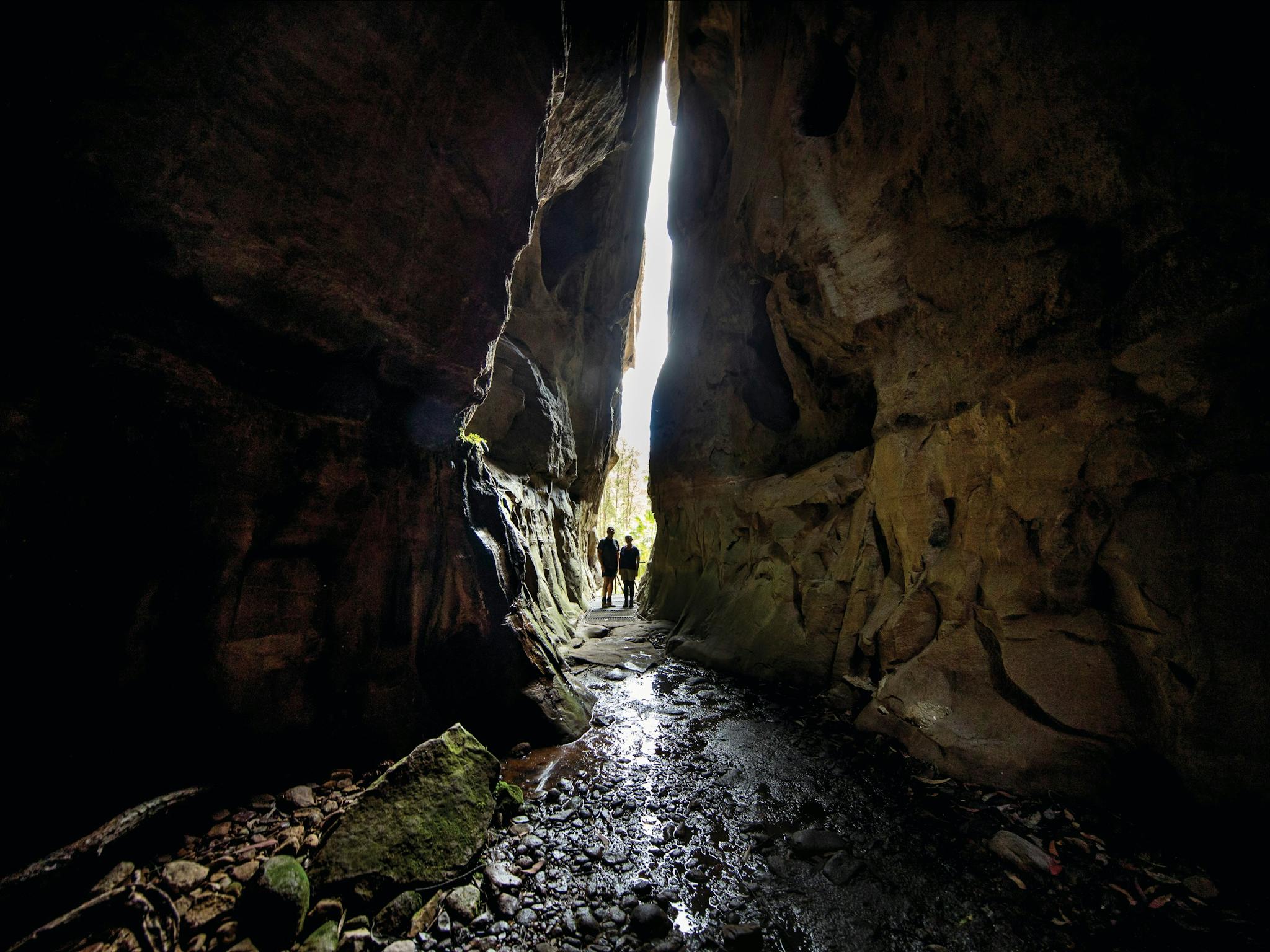 Carnarvon Gorge