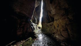 Carnarvon Gorge