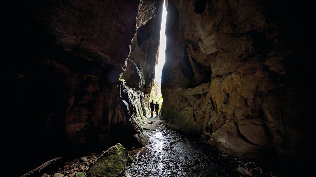 Carnarvon Gorge