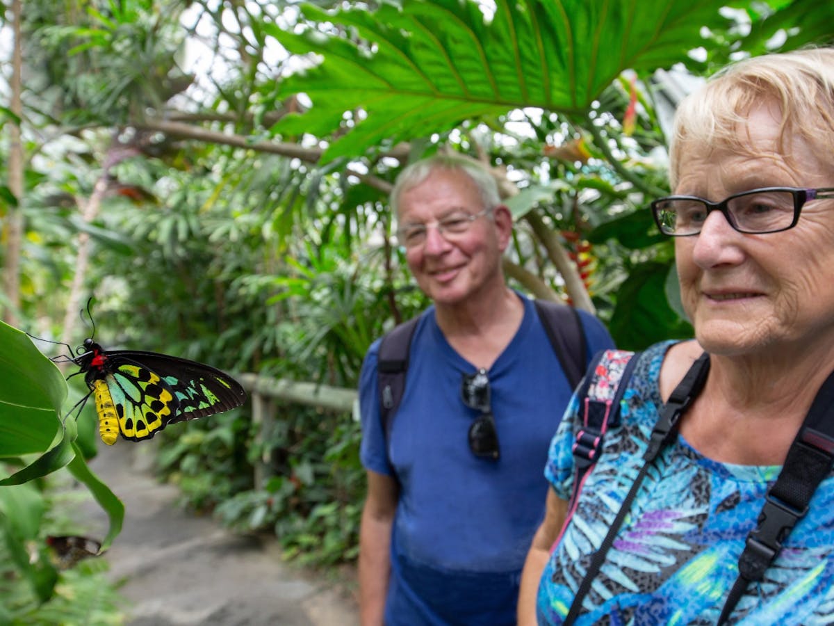 A couple observe a butterfly at the Australian Butterfly Sanctuary in Kuranda, Tropical North Qld.