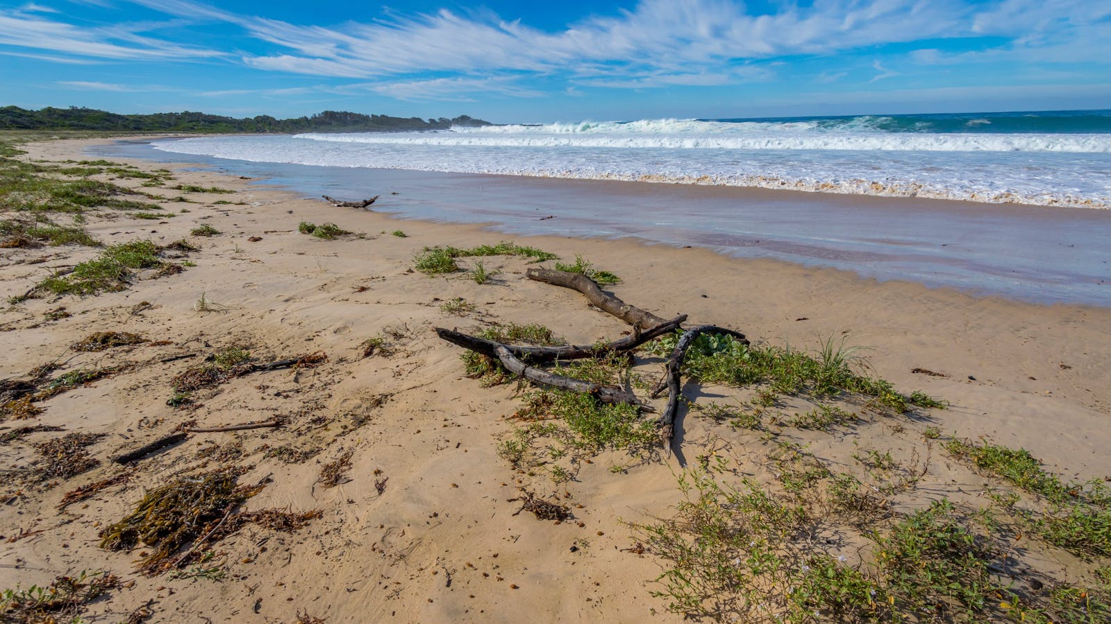 Avenue Beach