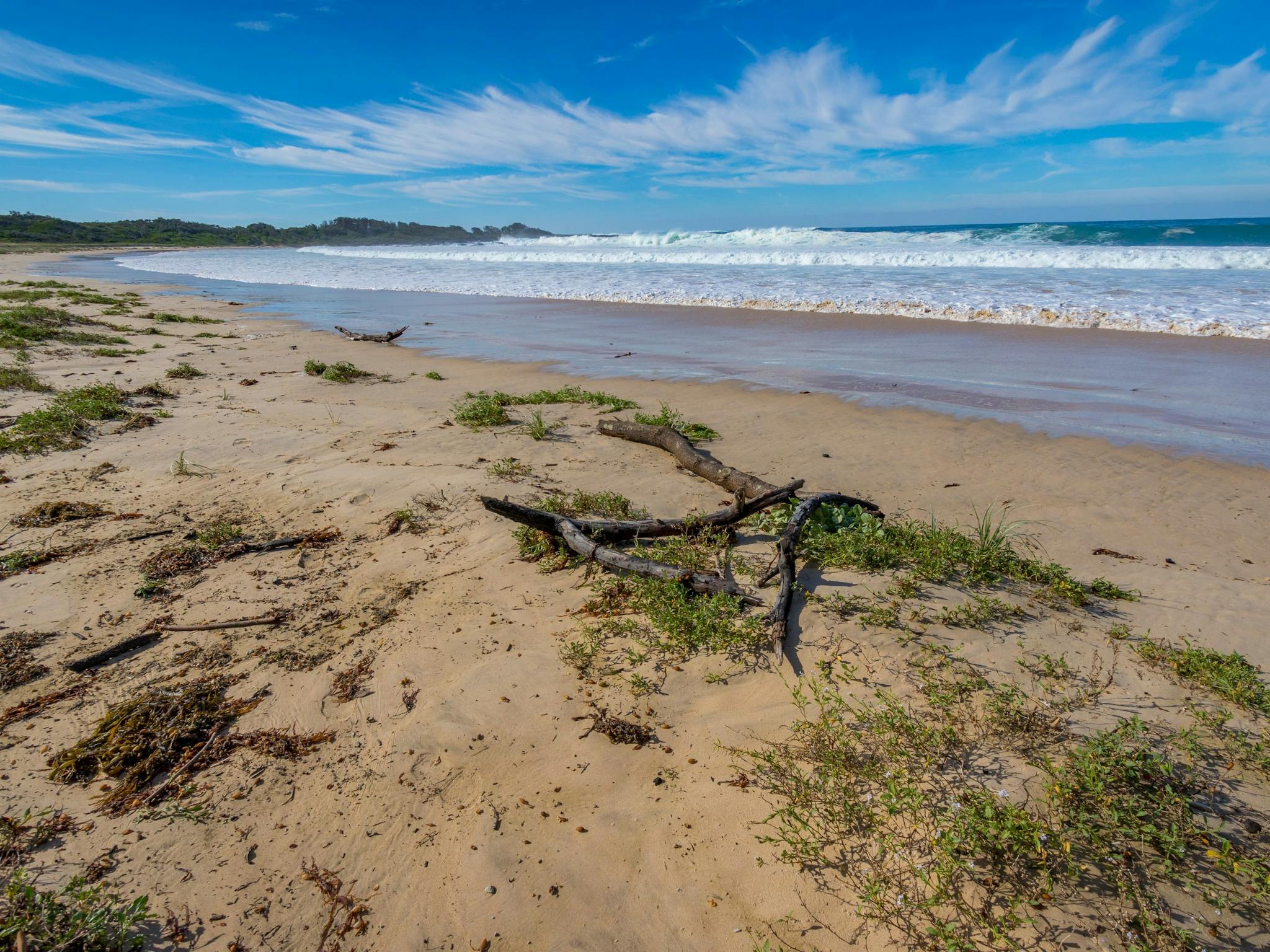 Avenue Beach