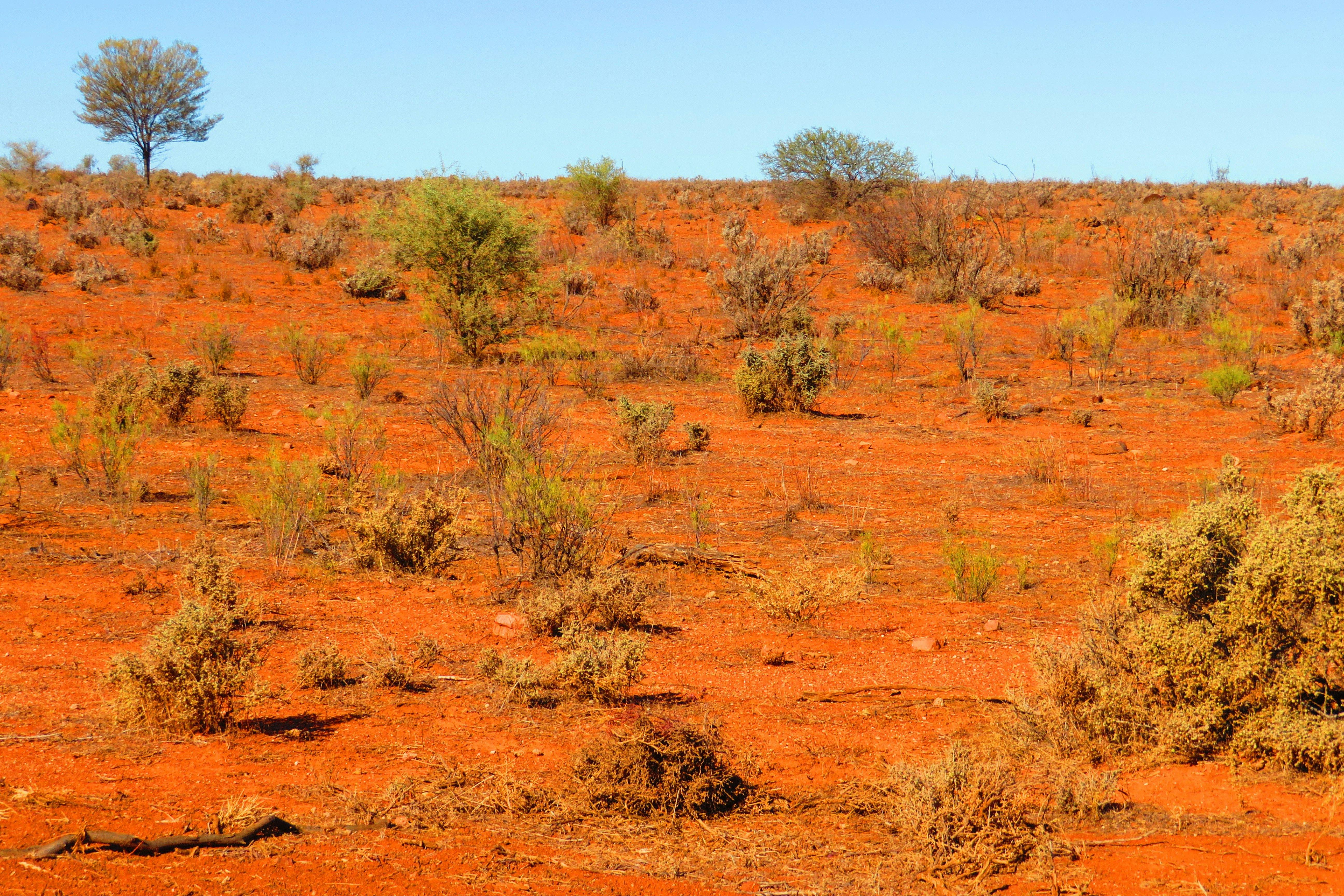西爾弗頓內陸風景和顏色