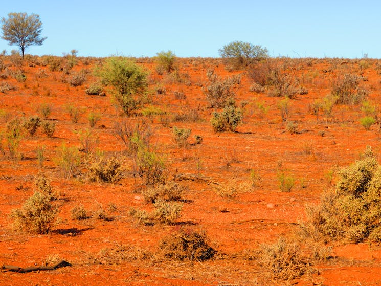 Silverton outback landscape and colours