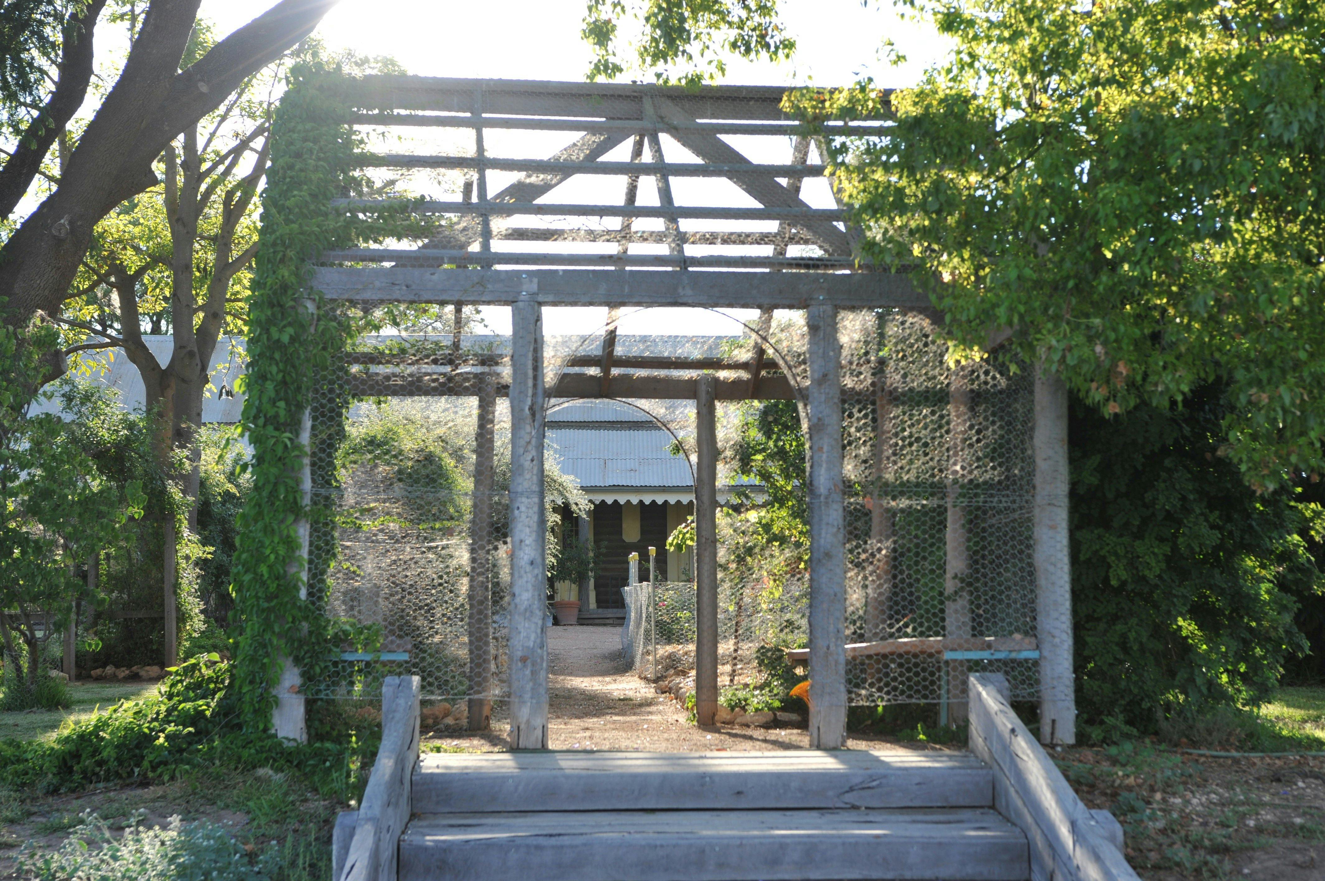 covered with Ivy with a Seat on each side and steps down to Lake lovely quiet place to sit at Homest