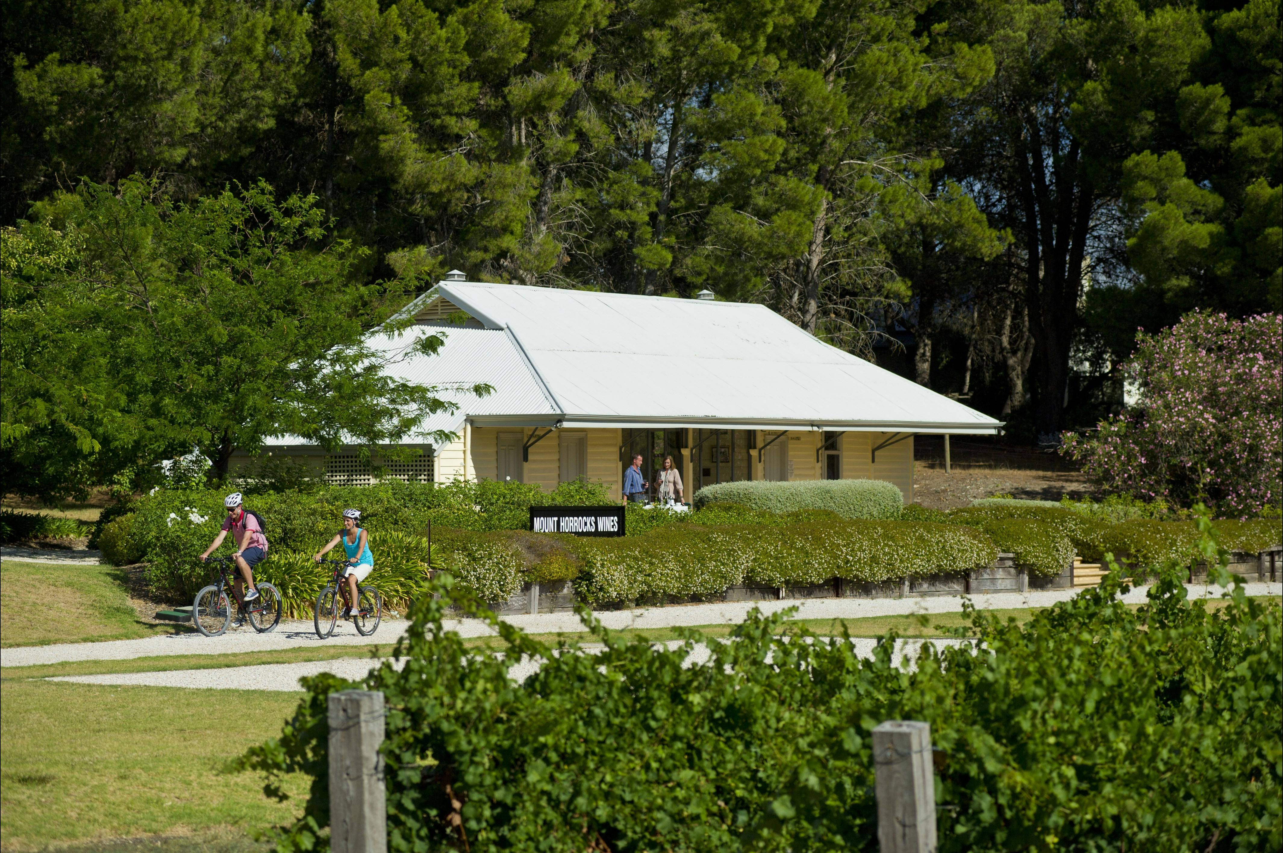 Cycling the Riesling Rail Trail in South Australia