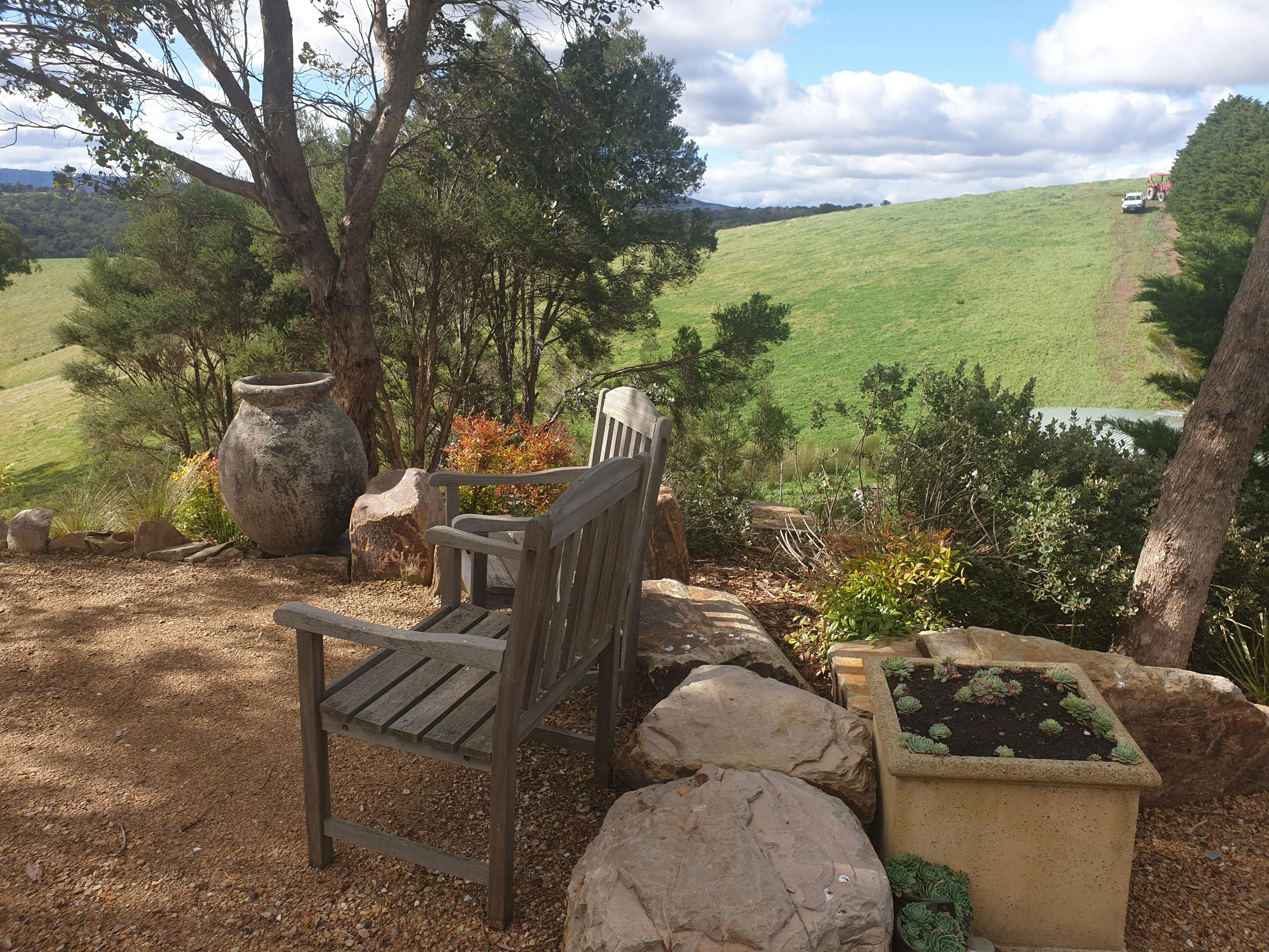 Outdoor garden area