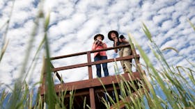 Bool Lagoon Game Reserve and Hacks Lagoon Conservation Park
