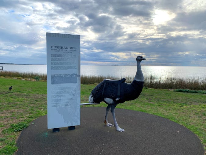 Bushranger Birdman of the Coorong