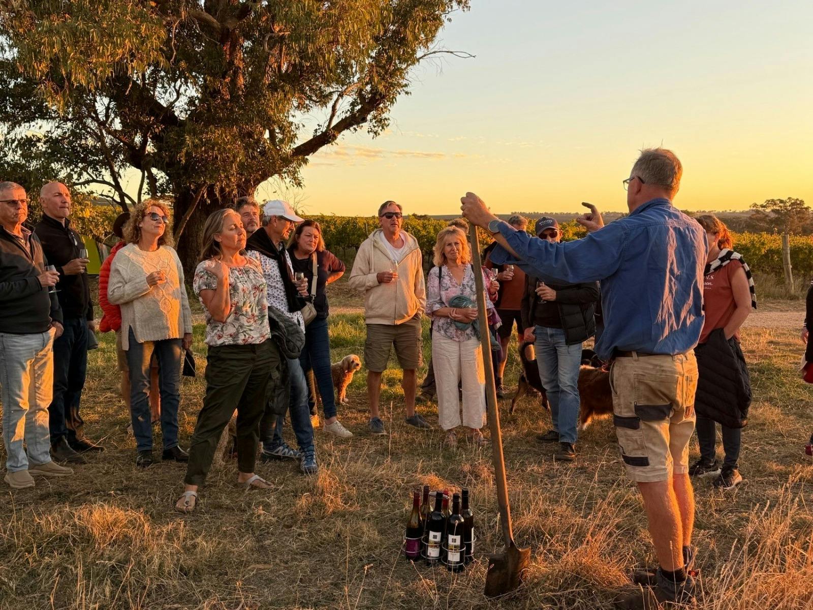 Sunset Tour and Taste with the Winemaker