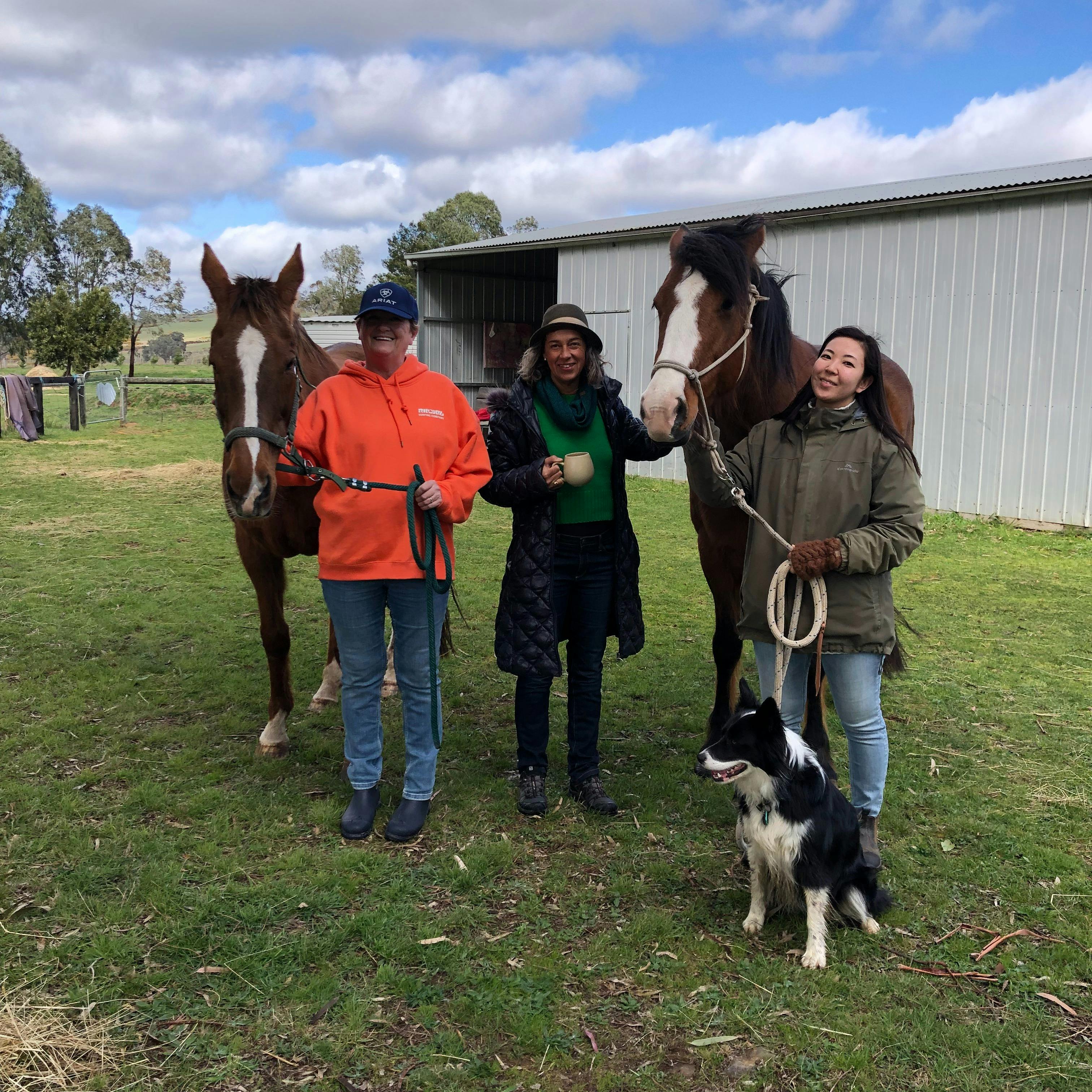 Five Day Healing with Horses and Wellness Retreat