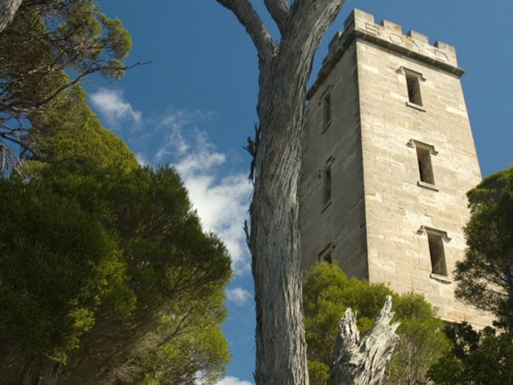 Boyds Tower walking track