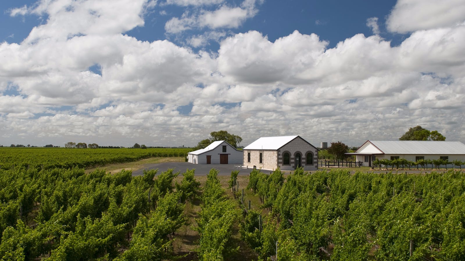 Katnook Estate