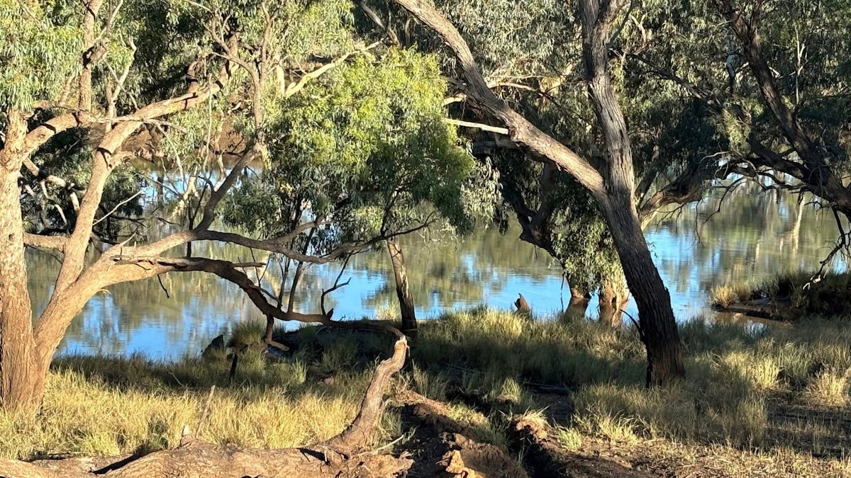 Bush camping right on the banks of the Warrego River at Ticklemans Gardens Bush camping right on the banks of the Warrego River at Ticklemans Gardens