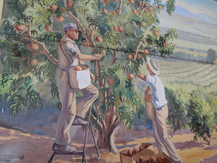 Reg Campbell, Picking Fruit.