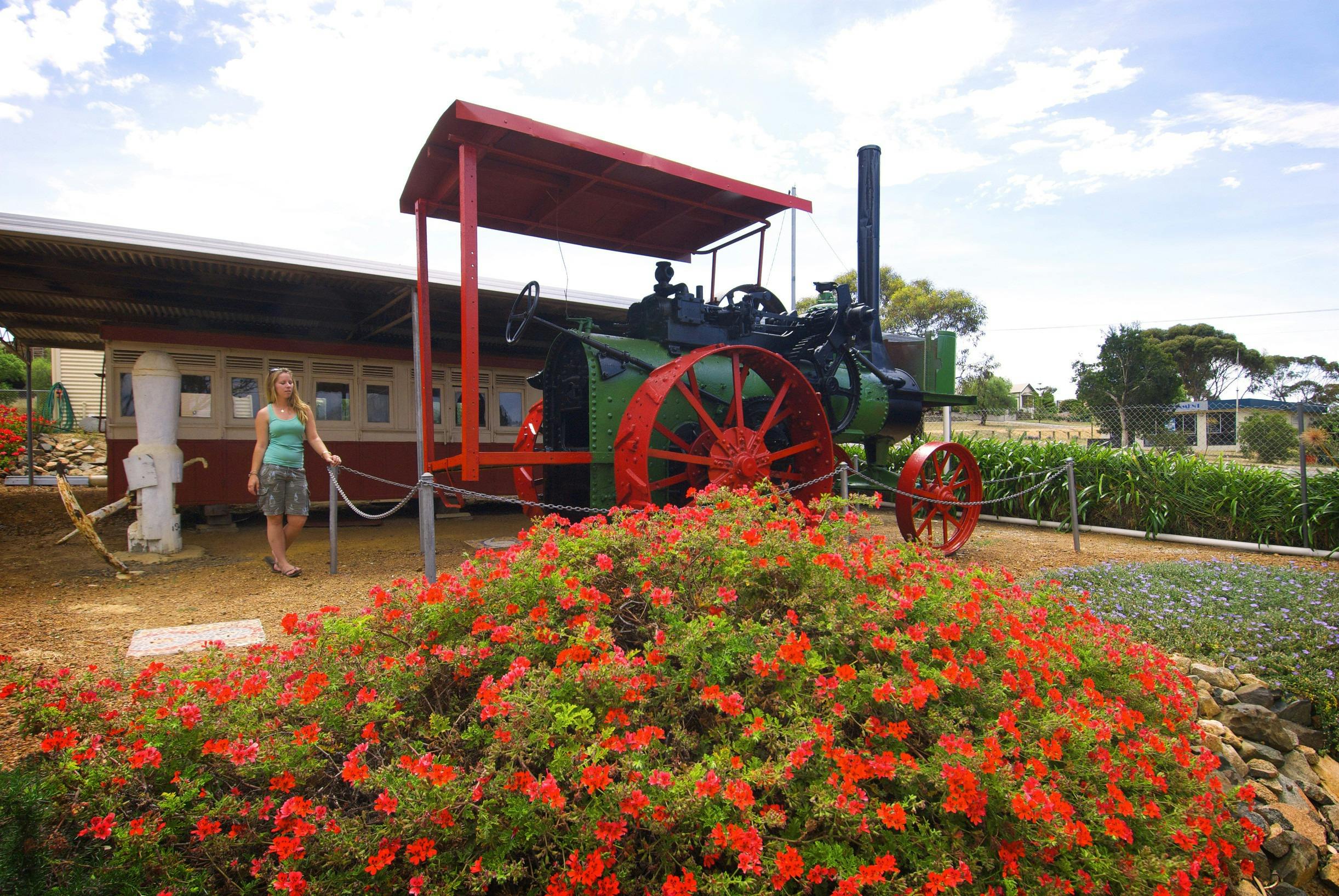 Esperance Wildflower Trail, Ravensthorpe, Western Australia